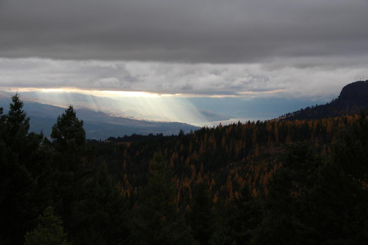 Wild Nature B&B Kelowna Bagian luar foto