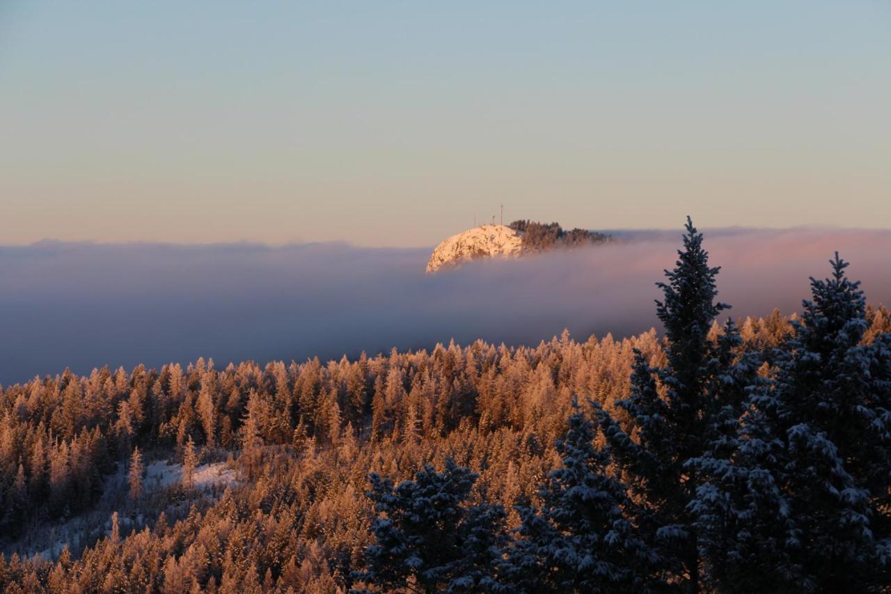 Wild Nature B&B Kelowna Bagian luar foto