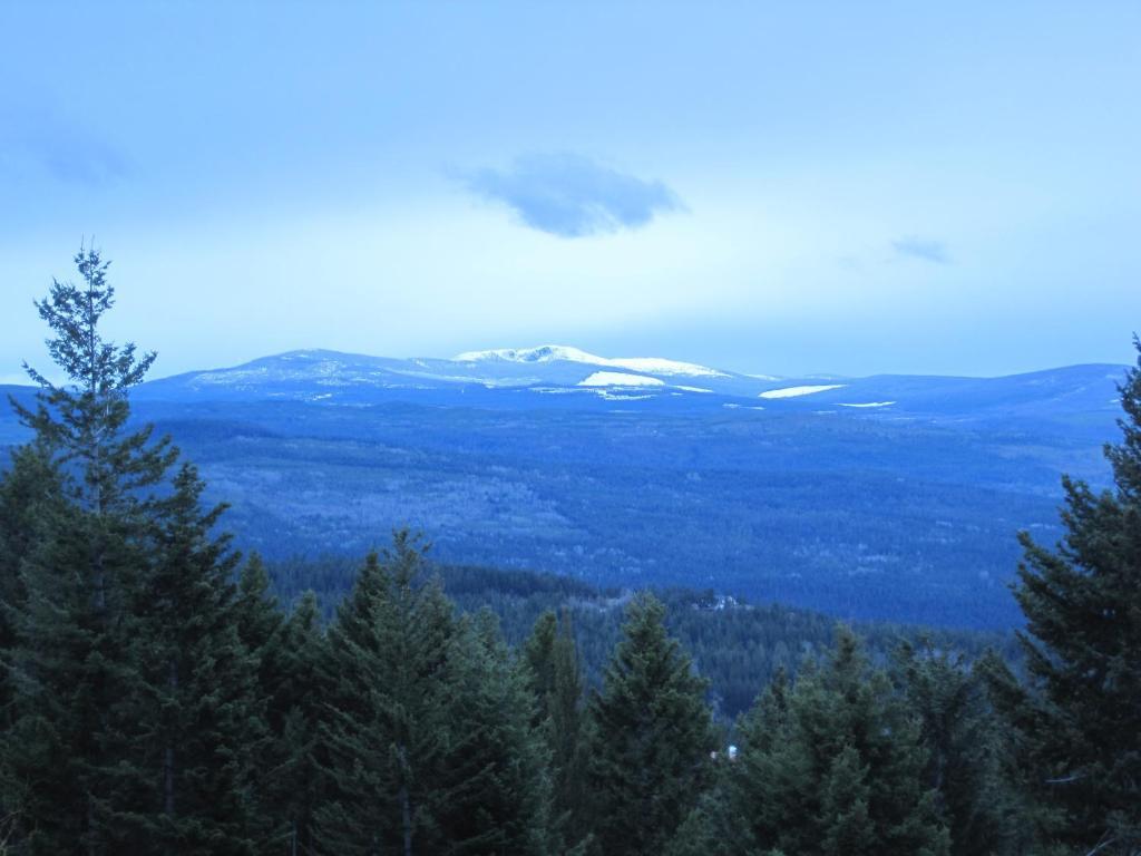 Wild Nature B&B Kelowna Bagian luar foto