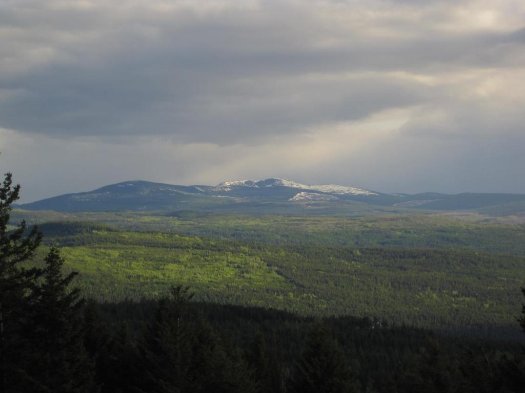 Wild Nature B&B Kelowna Bagian luar foto