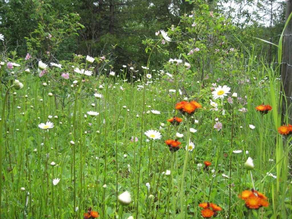 Wild Nature B&B Kelowna Bagian luar foto