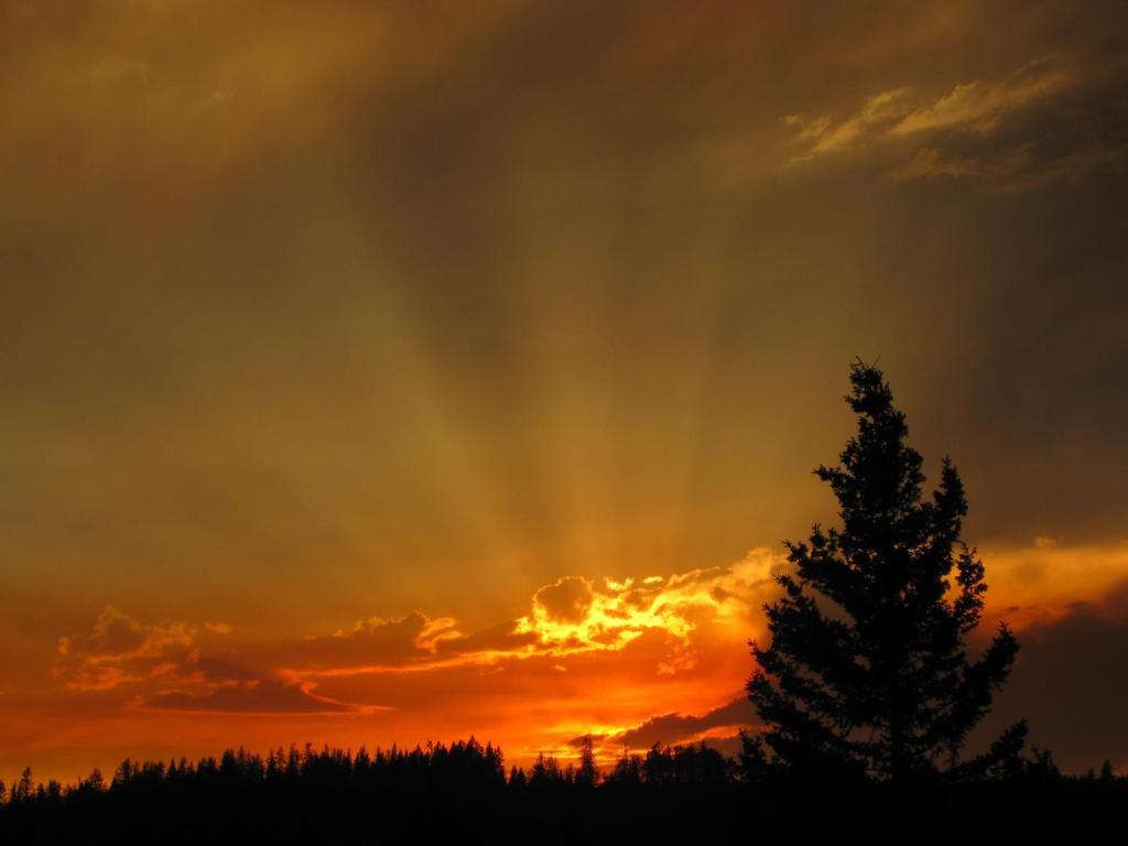 Wild Nature B&B Kelowna Bagian luar foto