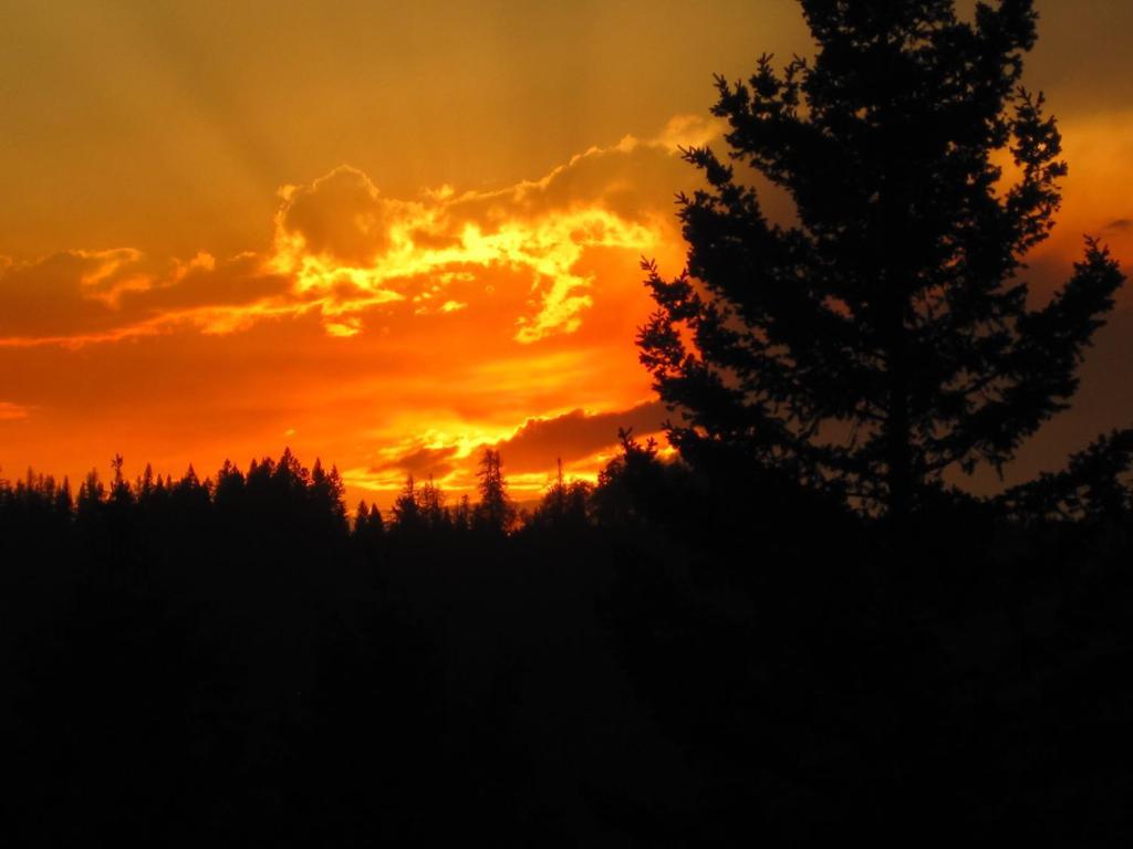 Wild Nature B&B Kelowna Bagian luar foto