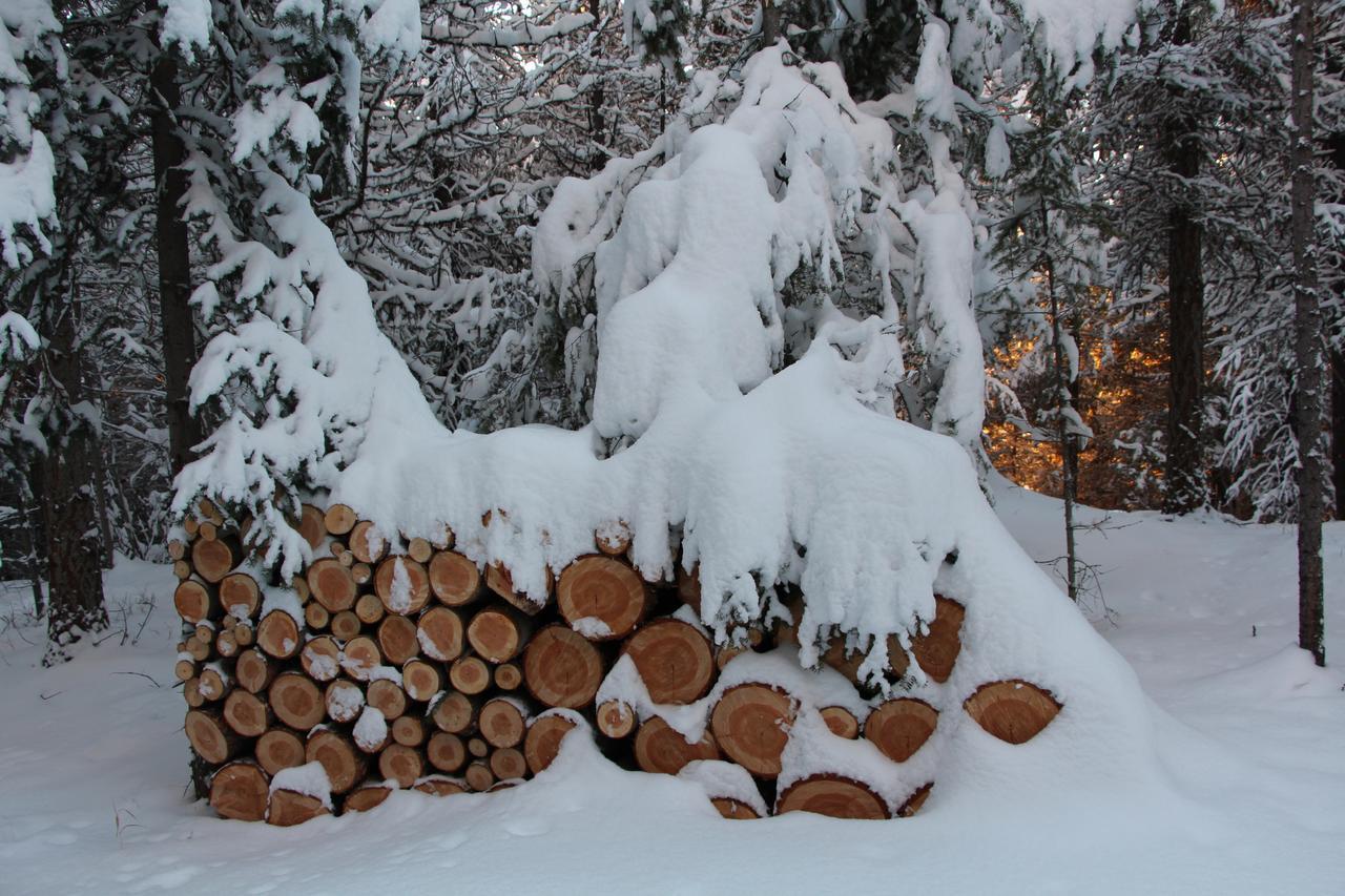 Wild Nature B&B Kelowna Bagian luar foto